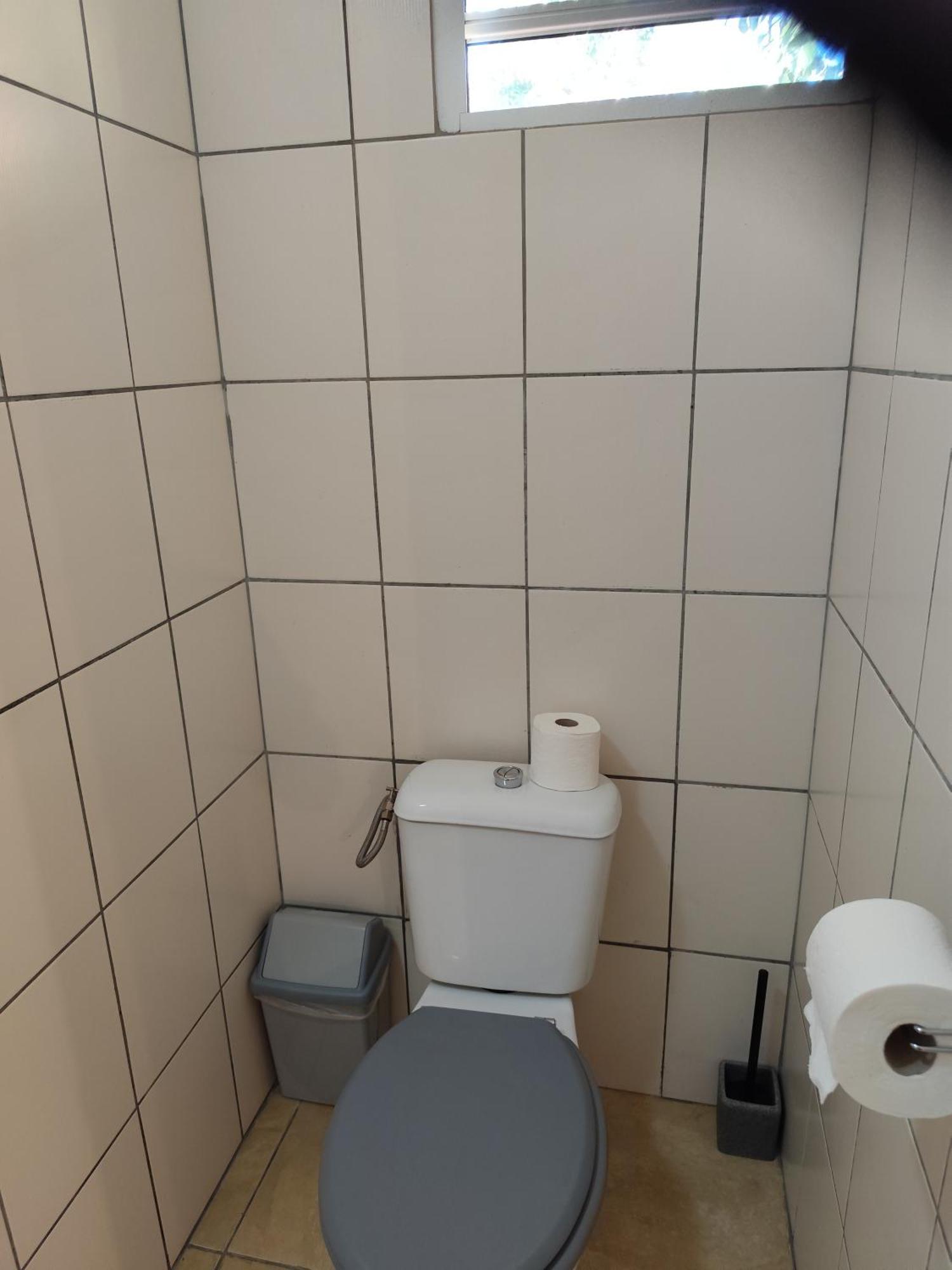 Les Studios De L'Embarcadere Kourou Dış mekan fotoğraf